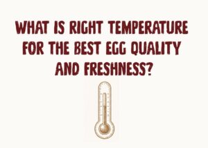 What is right temperature for the best egg quality and freshness?