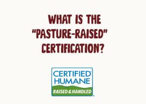 What is the “Pasture-Raised” Certification?