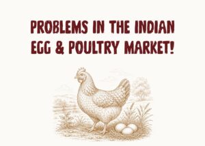 Problems in the Indian Egg & Poultry Market!
