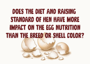Does the diet and raising standard of hen have more impact on the egg nutrition than the breed or shell color?