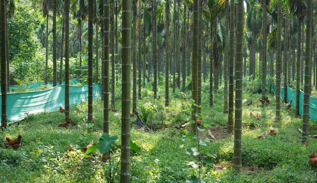 FARM3_1@32